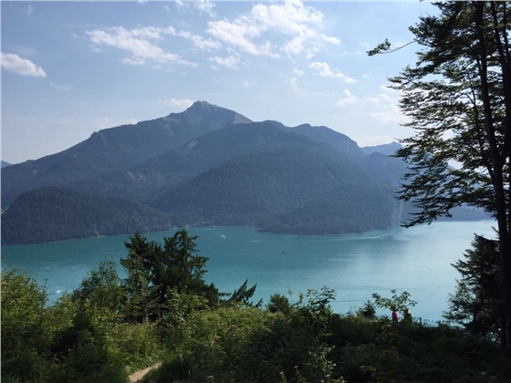 余教授奧地利鄉(xiāng)村行：萬科為什么說把奧地利小鎮(zhèn)搬回來？