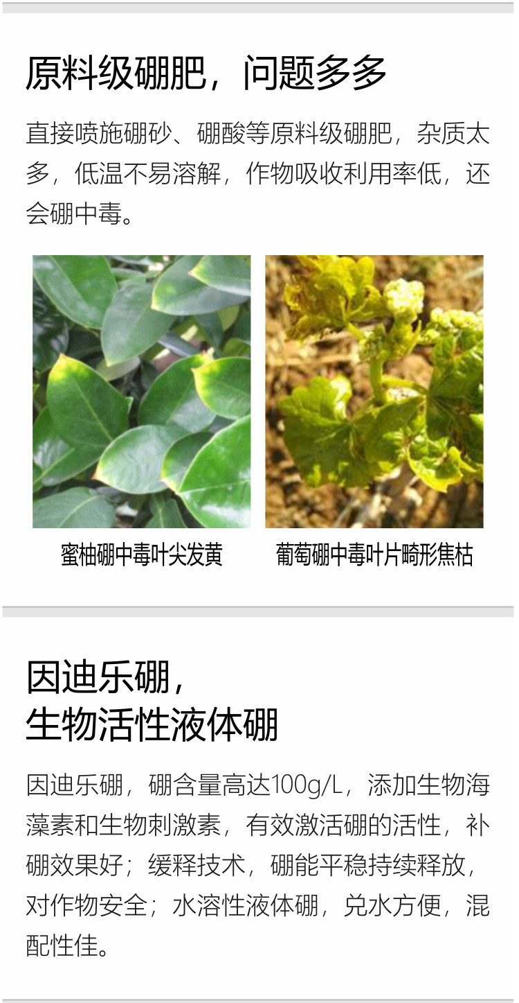 因迪樂(lè)有機(jī)海藻硼750_03.jpg