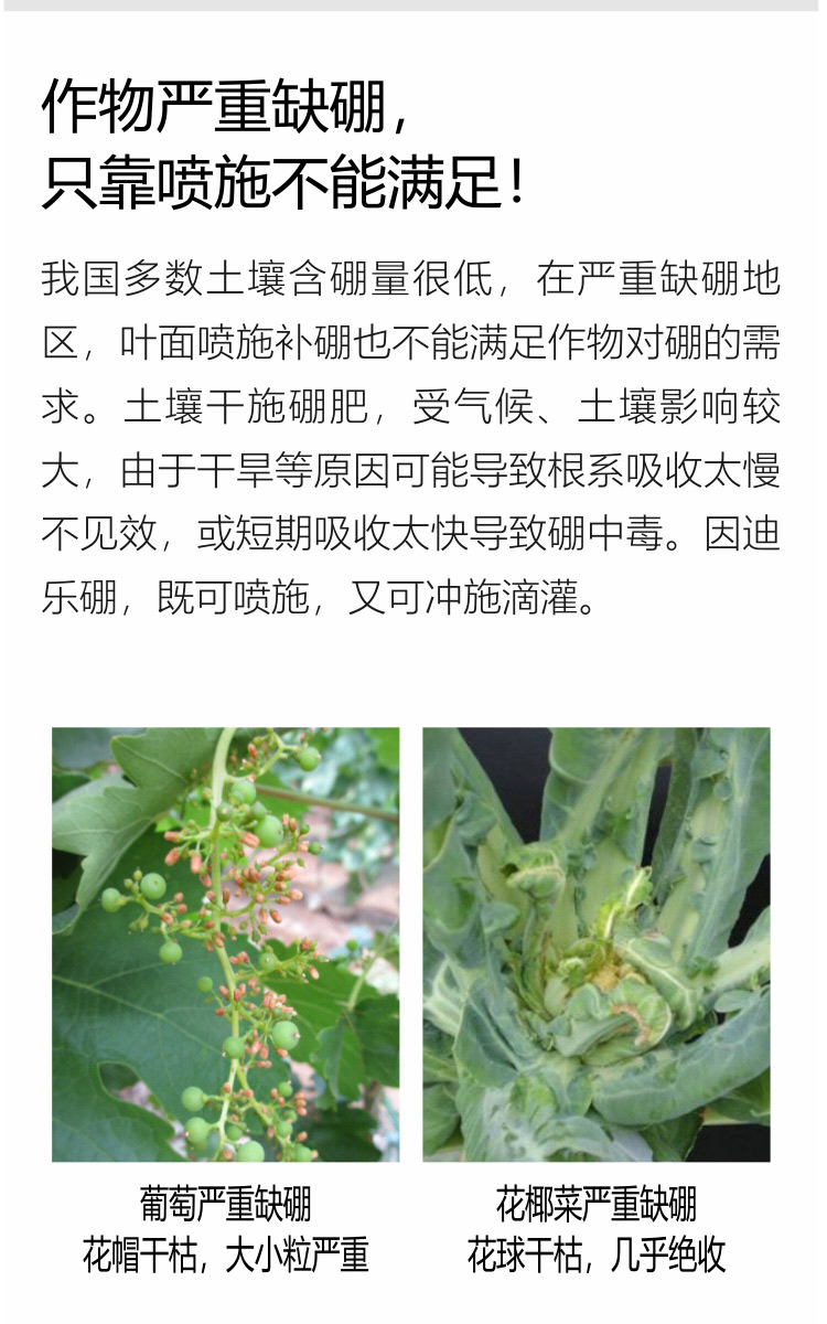 因迪樂(lè)有機(jī)海藻硼750_04.jpg