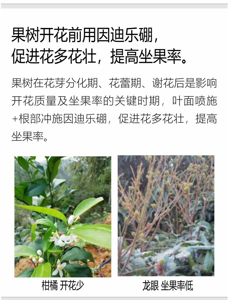 因迪樂(lè)有機(jī)海藻硼750_05.jpg
