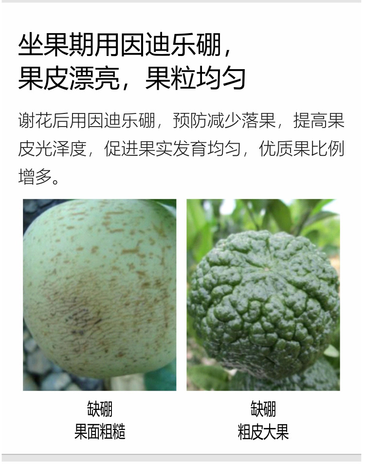 因迪樂(lè)有機(jī)海藻硼750_06.jpg