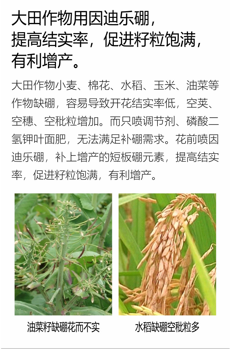 因迪樂(lè)有機(jī)海藻硼750_07.jpg