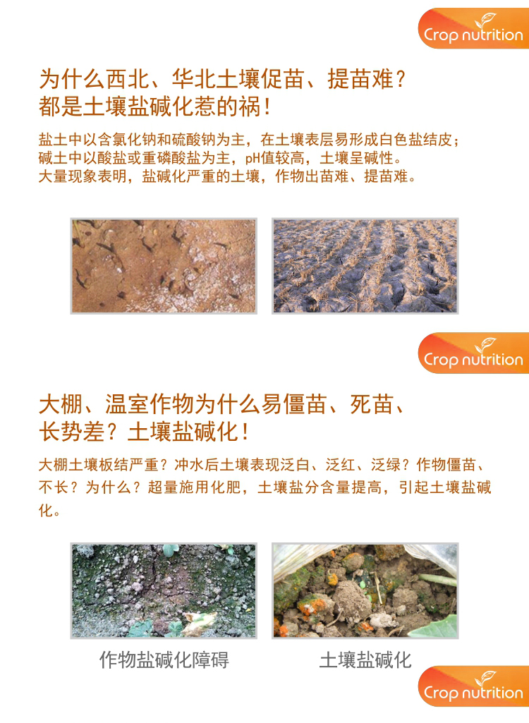 因迪樂有機鹽堿土調理水溶肥1_02.jpg
