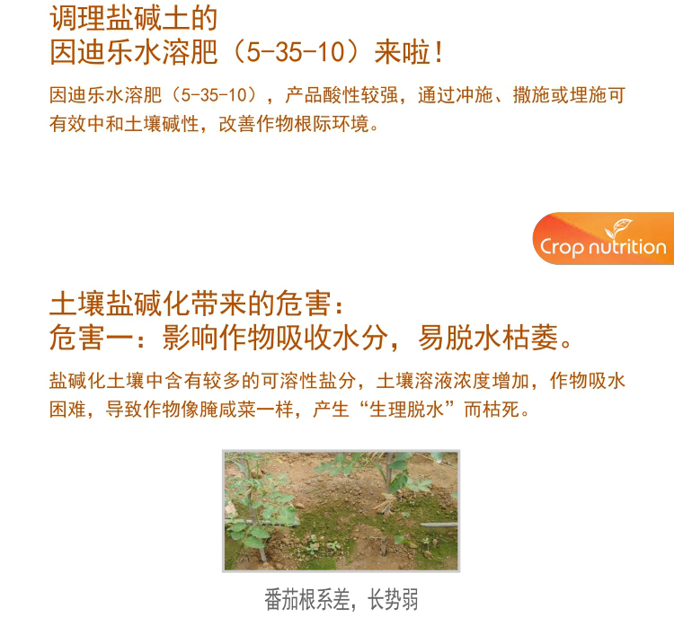因迪樂有機鹽堿土調理水溶肥1_03.jpg