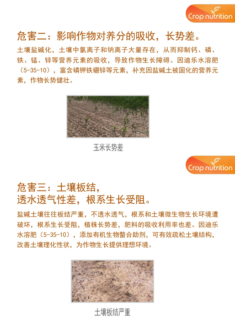 因迪樂有機鹽堿土調理水溶肥1_04.jpg
