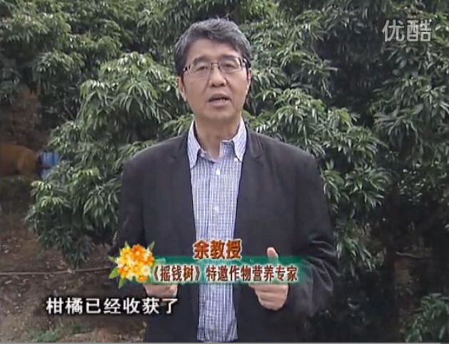 20160104珠江臺(tái)搖錢樹(shù)：防治柑橘黃樹(shù)、減少采后弱樹(shù) 撒微補(bǔ)倍力、噴碧力+壯力