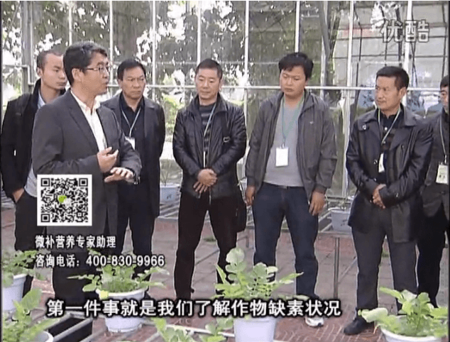 20160418珠江臺(tái)搖錢樹：和重慶種植業(yè)主走進(jìn)微補(bǔ)，探秘微補(bǔ)生產(chǎn)研發(fā)技術(shù)