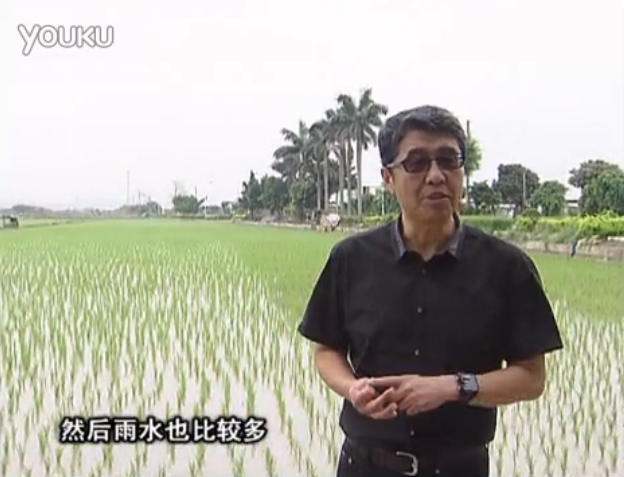 20160530珠江臺(tái)搖錢樹：水稻、甘蔗用微補(bǔ)方案，促根壯長(zhǎng)勢(shì)，提高收益