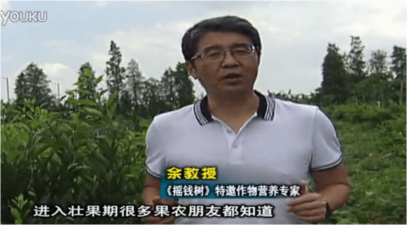 20160620珠江臺(tái)搖錢樹：柑橘淋微補(bǔ)調(diào)力、噴蓋力+壯力，調(diào)酸壯長勢(shì)、膨果防裂好