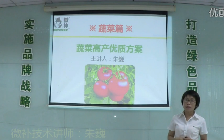 蔬菜-提苗壯長(zhǎng)、提高坐果高產(chǎn)方案.微補(bǔ)講座