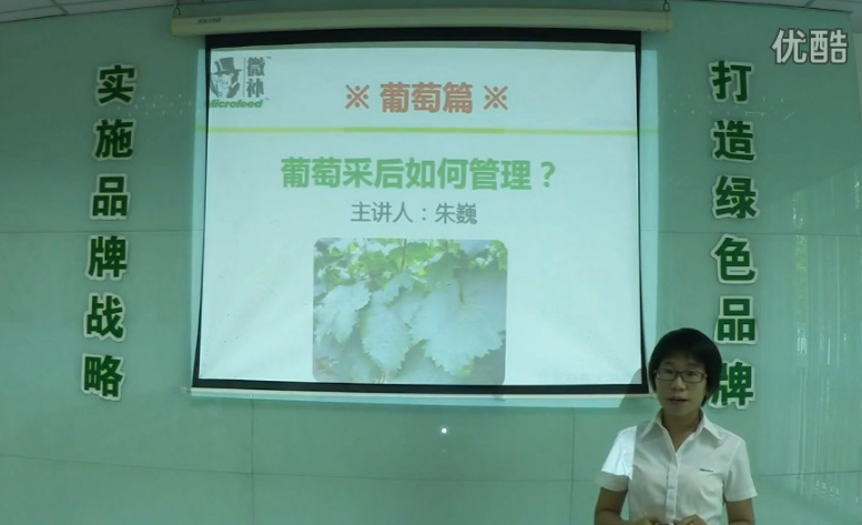 葡萄-采后恢復(fù)樹勢(shì)、來(lái)年花芽分化好.微補(bǔ)講座