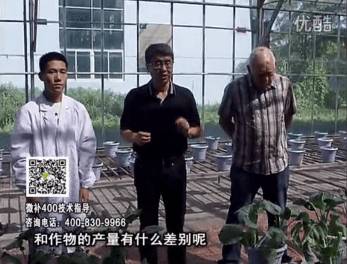 20160829珠江臺(tái)搖錢樹：微補(bǔ)溫室實(shí)驗(yàn)：大量元素水溶肥pk添加中微量元素的差距！