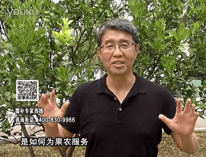 20160912珠江臺(tái)搖錢樹：針對(duì)果場面積、缺素營養(yǎng)、設(shè)施管理、投入產(chǎn)出，微補(bǔ)做個(gè)性化定制服務(wù)