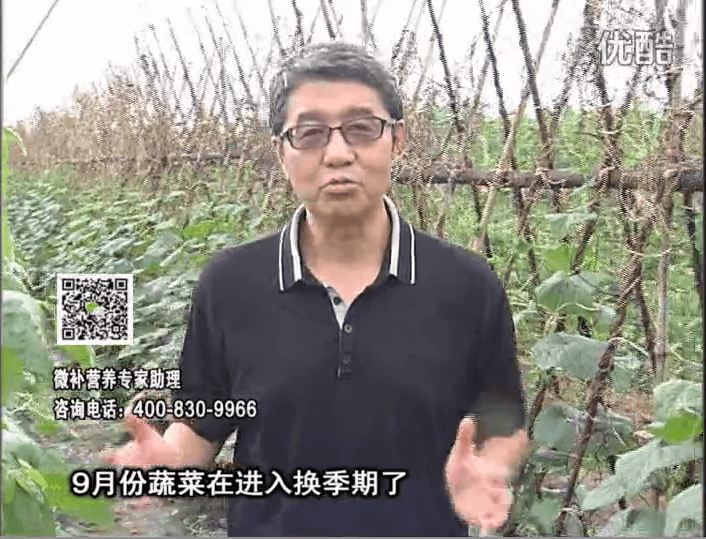 20160926珠江臺搖錢樹：換季蔬菜淋根力鈣精力促根壯長，淋微補調(diào)力調(diào)酸減少病害