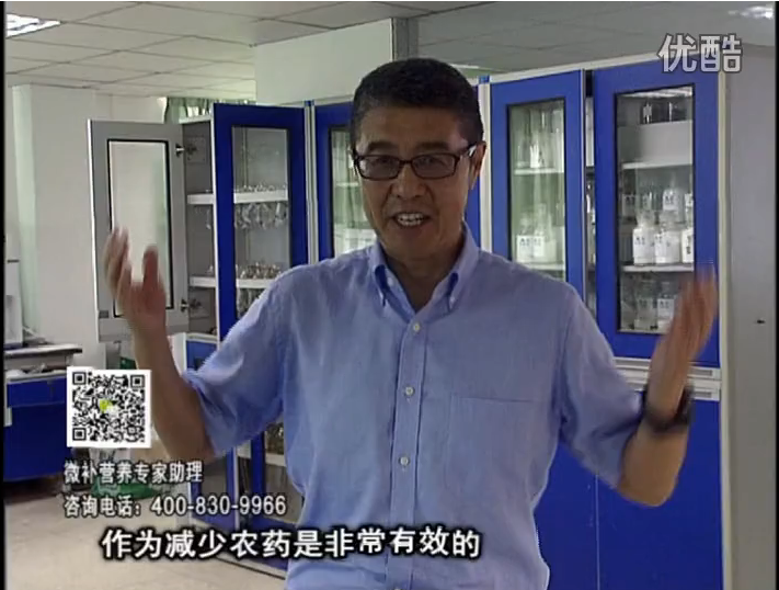 20161024珠江臺(tái)搖錢樹：種植作物調(diào)酸、平衡營養(yǎng)、提高抗病力能大大降低病害發(fā)生和農(nóng)藥使用量