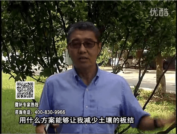 20161031珠江臺(tái)搖錢樹：減少化肥使用量、土壤少板結(jié)有辦法