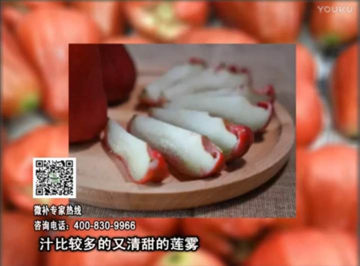 20170424珠江臺搖錢樹：蓮霧淋沖微補水肥，壯長、提高果實品質(zhì)賣價